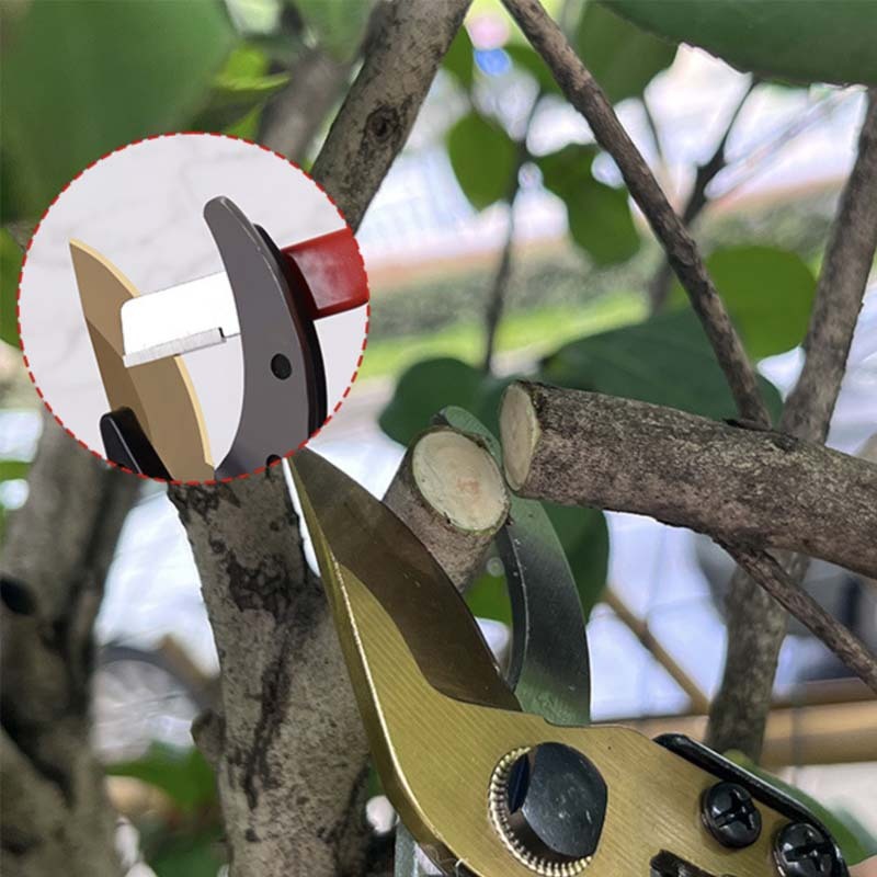 50% REDUCERE - Merxo Tăios™ - Ascutitor Universal de cutite,foarfece, unelte de gradina… 1+1 gratis